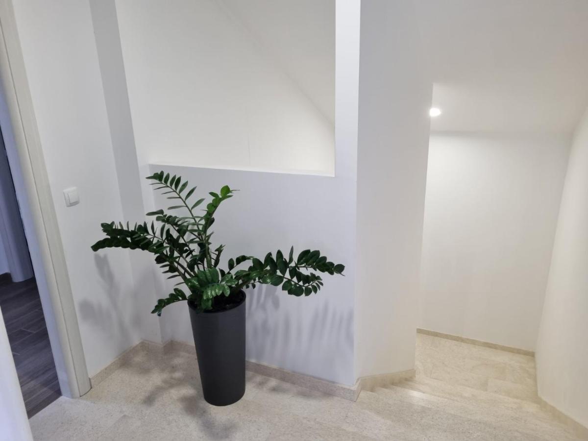 Apartmani Tolj Makarska Exterior foto